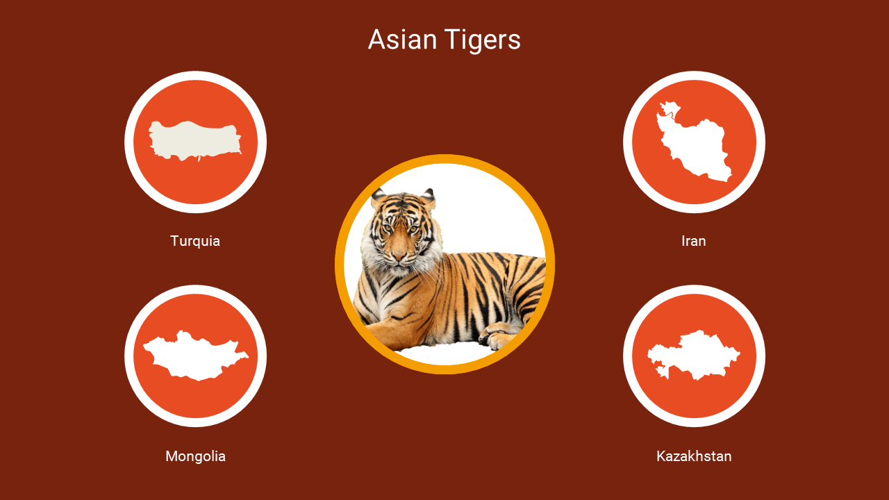 Free - Best Stunning Asian Tigers PowerPoint Diagrams For You